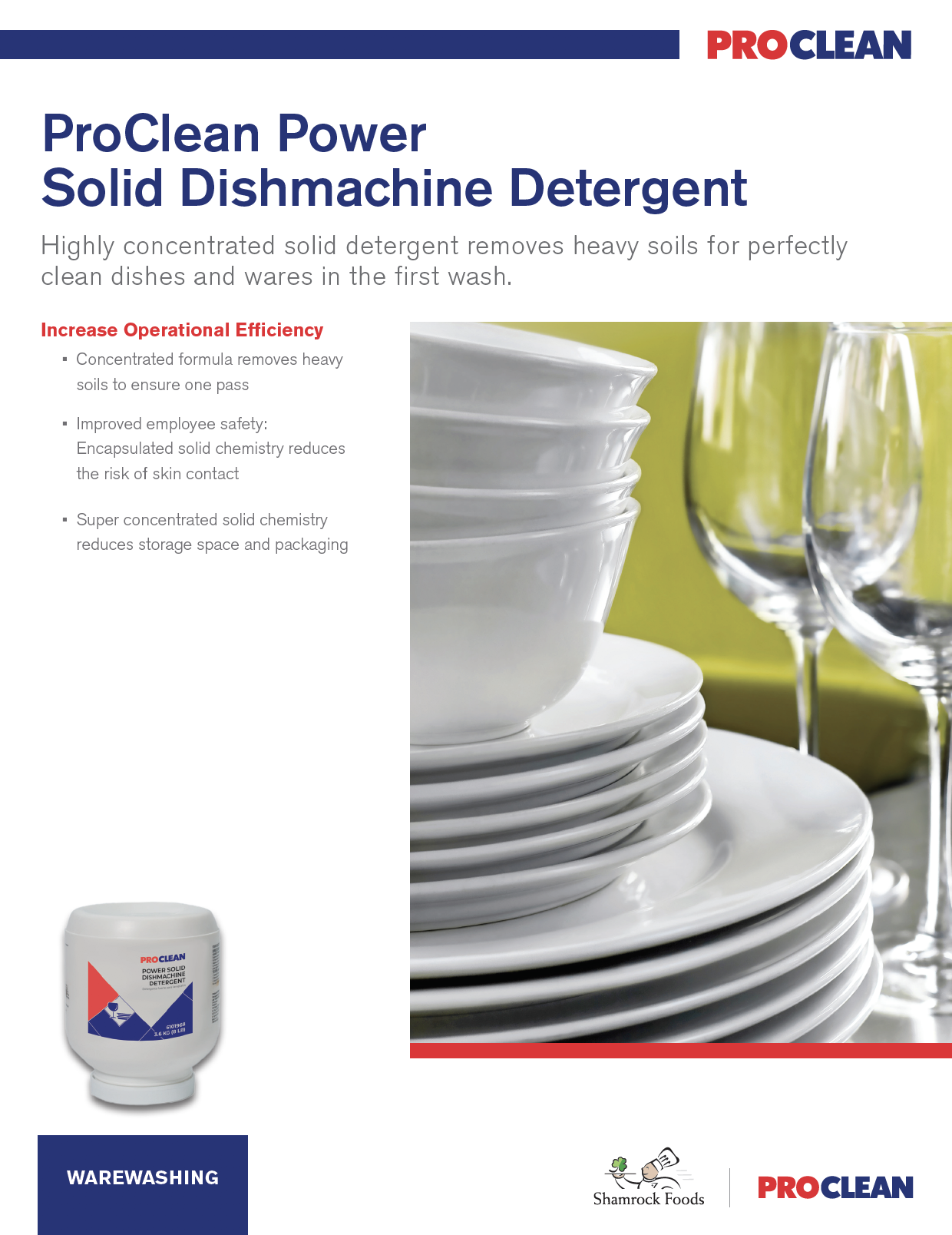 ProClean Proshine Plus Aerosol Stainless Steel Cleaner